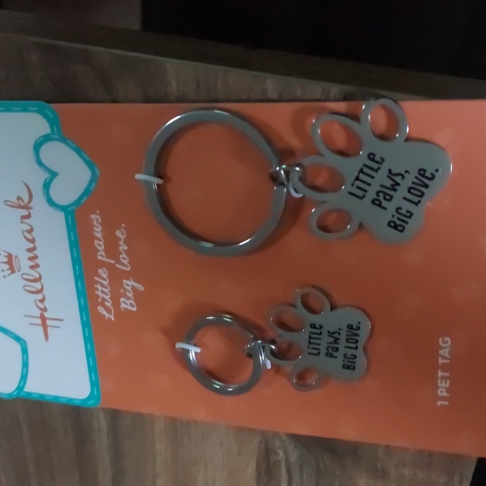 Hallmark Stainless Steel Pet Tag/Human Keyring Besties